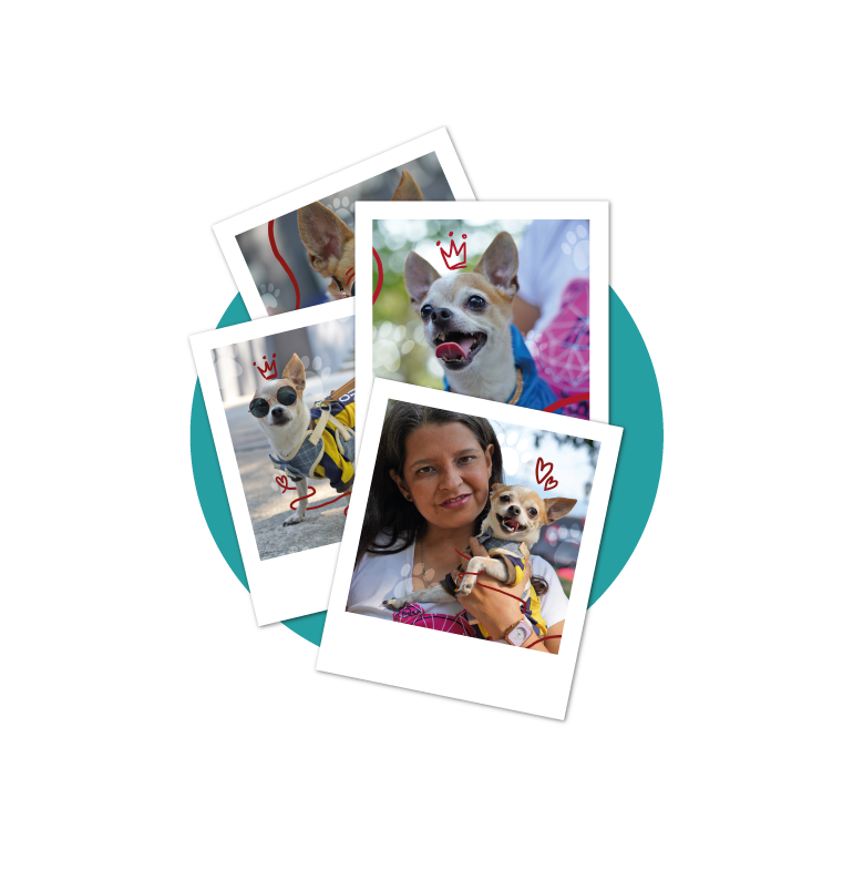 PAQUETE DE FOTOS