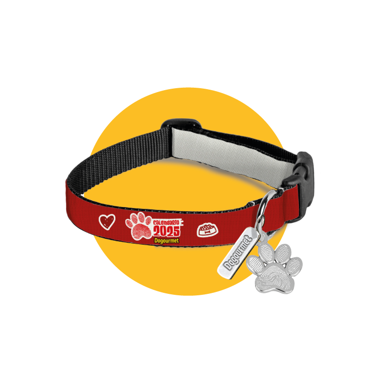 COLLAR DOGOURMET PARA TU PELUDITO