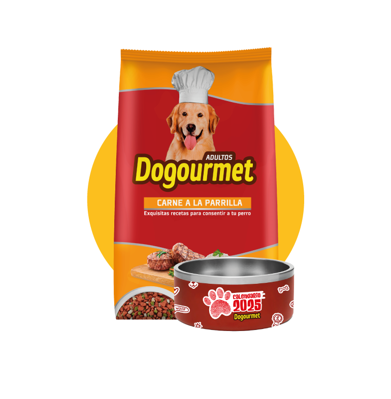 ALIMENTO DOGOURMET
Y PLATO PARA TU PELUDITO